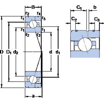 ตลับลูกปืน 7020 ACE/HCP4AL SKF